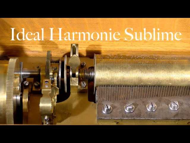 Ideal Harmonie Sublime | Keeping Tempo