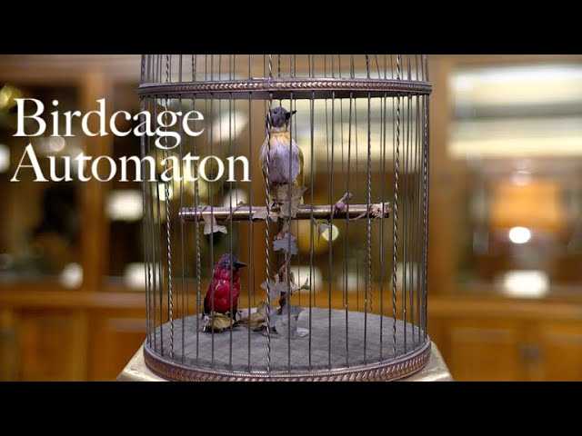 Birdcage Automaton | Keeping Tempo