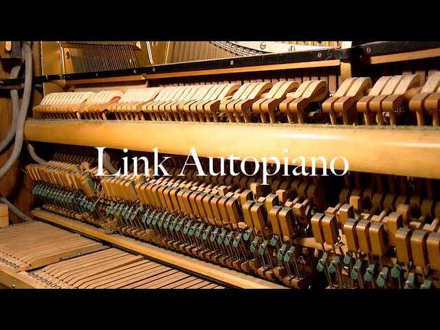 Link Autopiano | Keeping Tempo